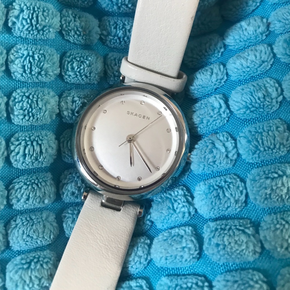 Skagen watch